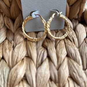 Gold Twisted Hoop Earrings